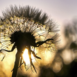 Album 2020 - die TOP 100 Bilder meines Jahres